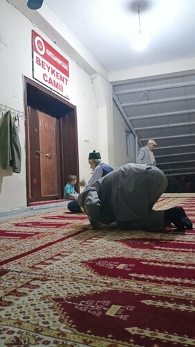 Mosque Beykent Village Mosque, Kurtalan, photo
