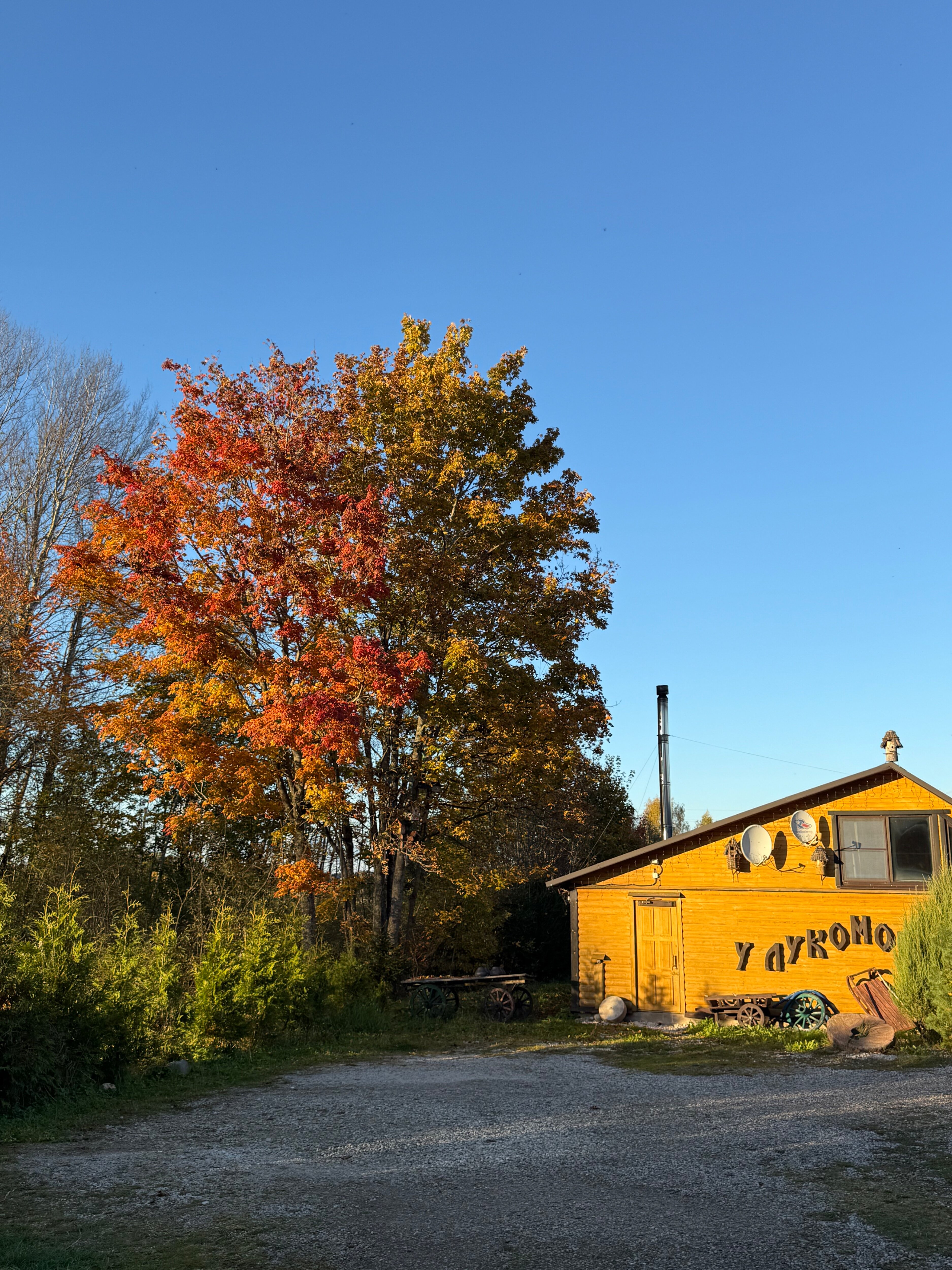 Фото У Лукоморья