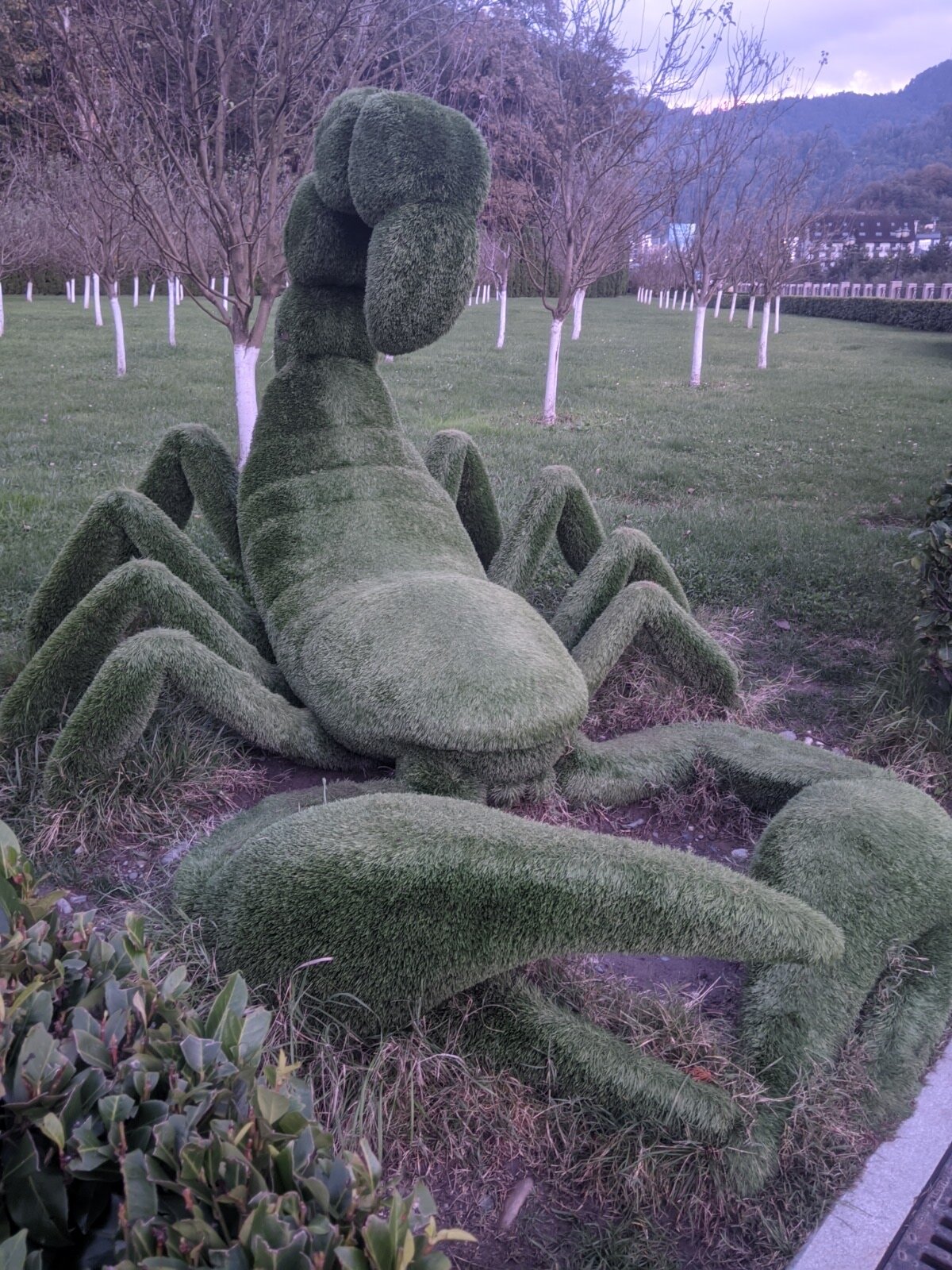 Фото Villa Ariana