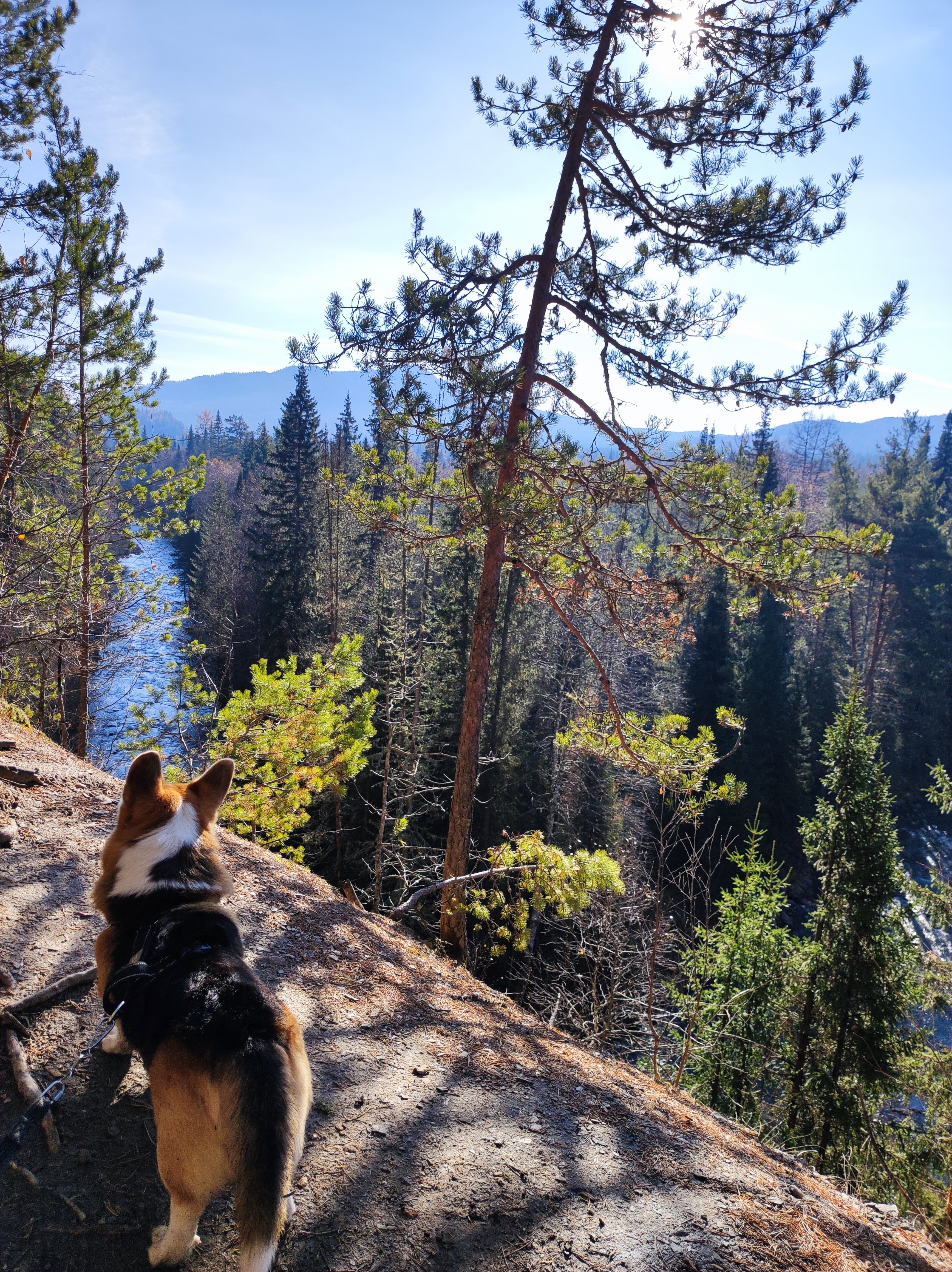 Фото Лесной дом Заветное место