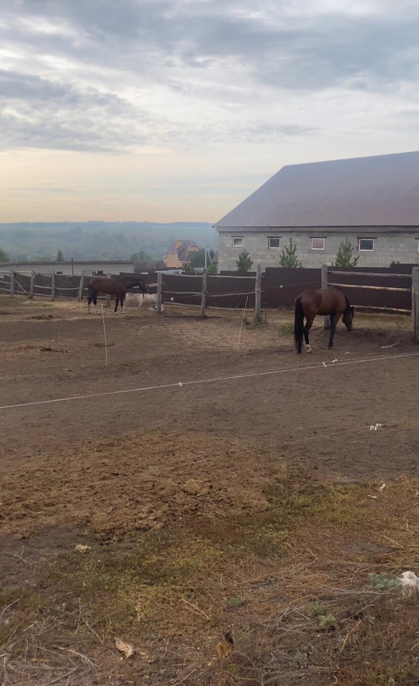 Фото Это база