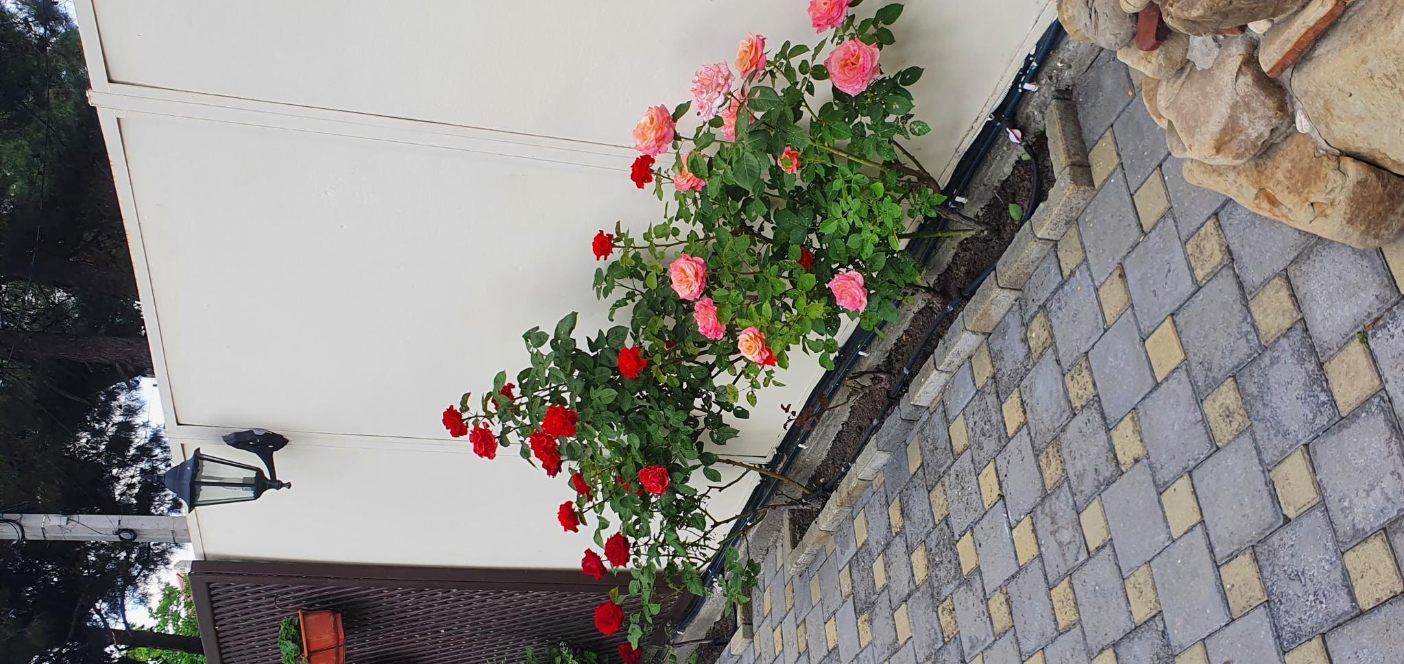 Фото Морской бриз