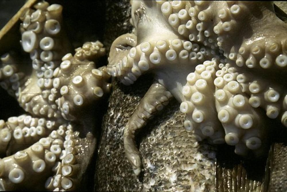 Фото Itilo Traditional Hotel