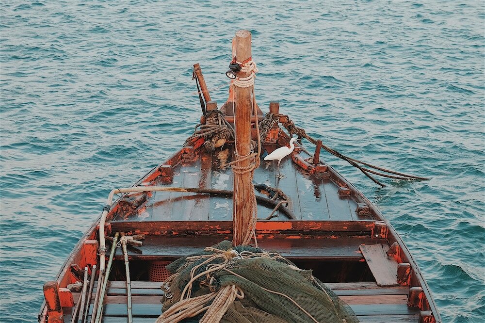 Фото Sea Sand Trees
