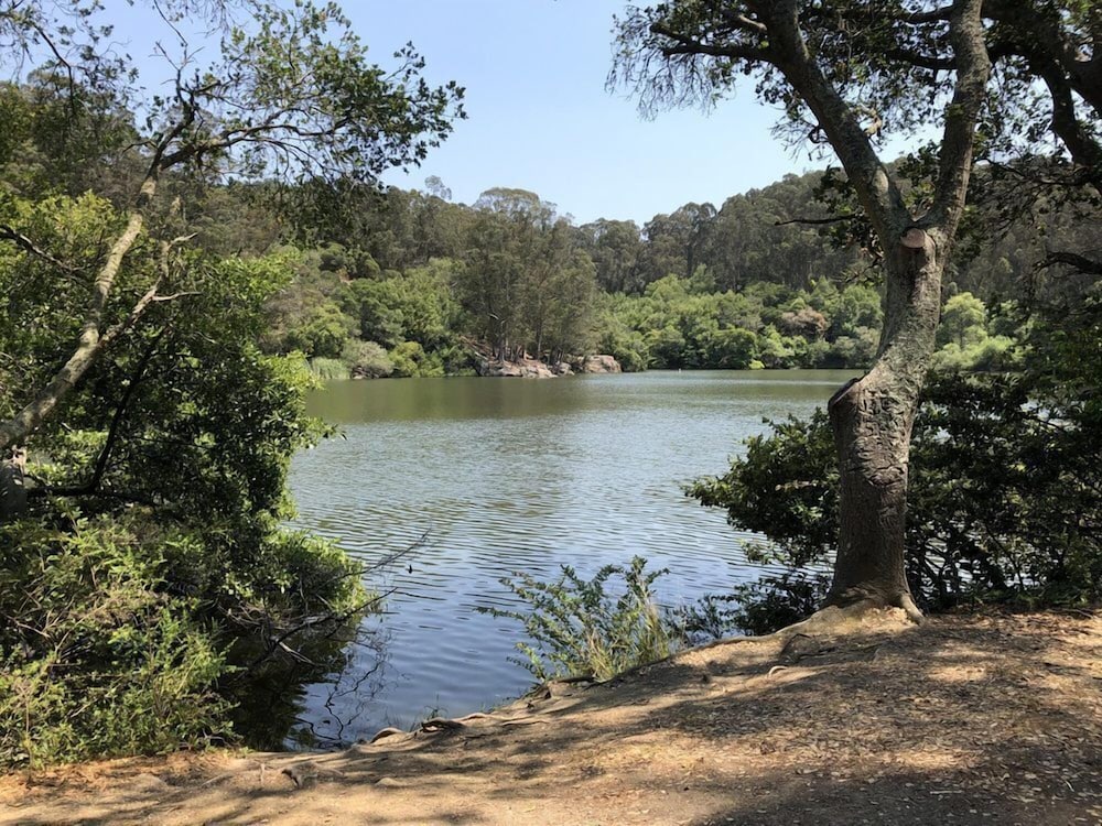 Фото Berkeley Inn