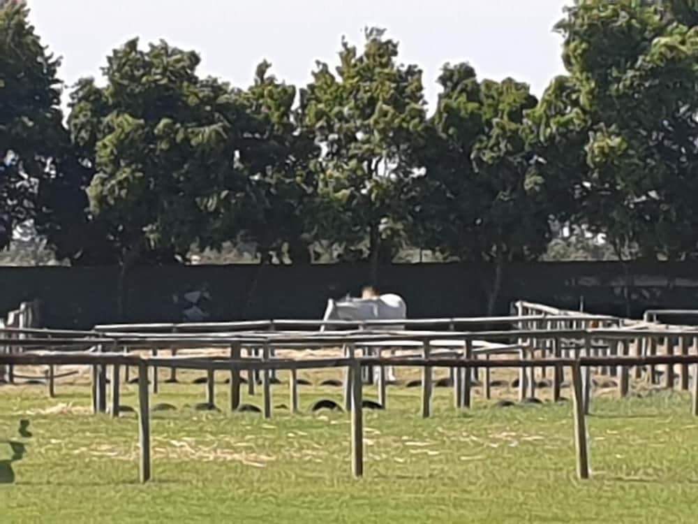 Фото New Hunters Moon