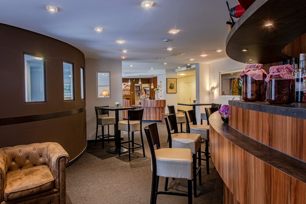 Фото Europe Haguenau - Hôtel & SPA