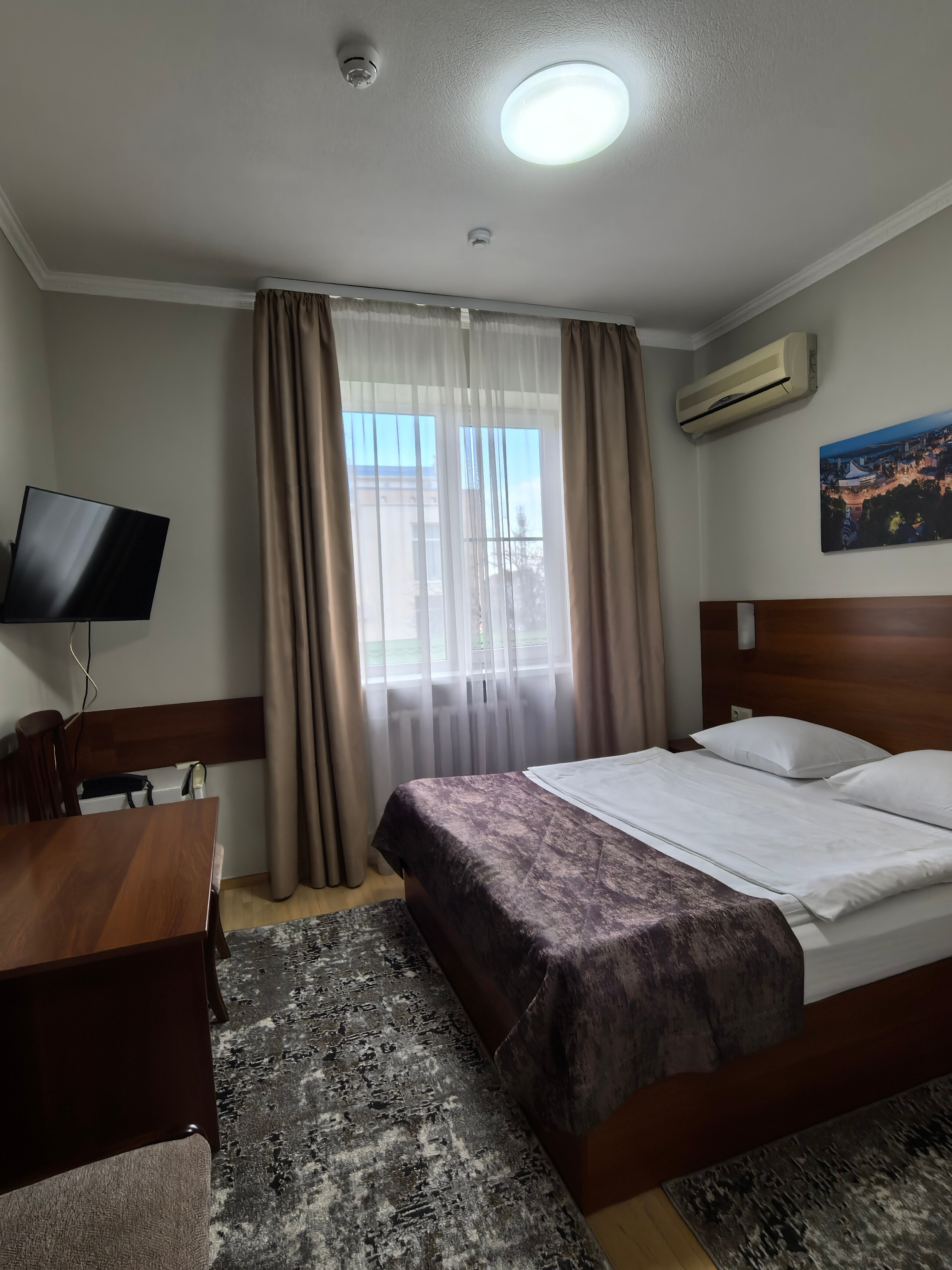 Фото Магнолия