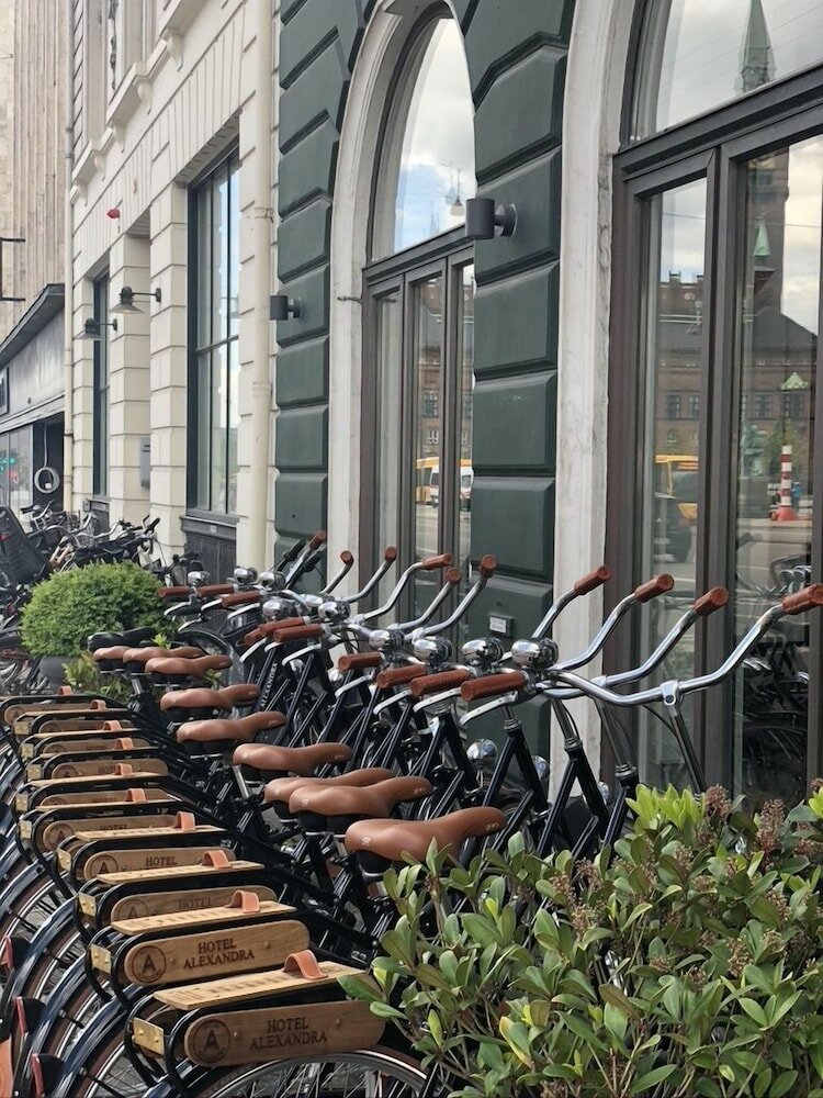 Фото Hotel Alexandra