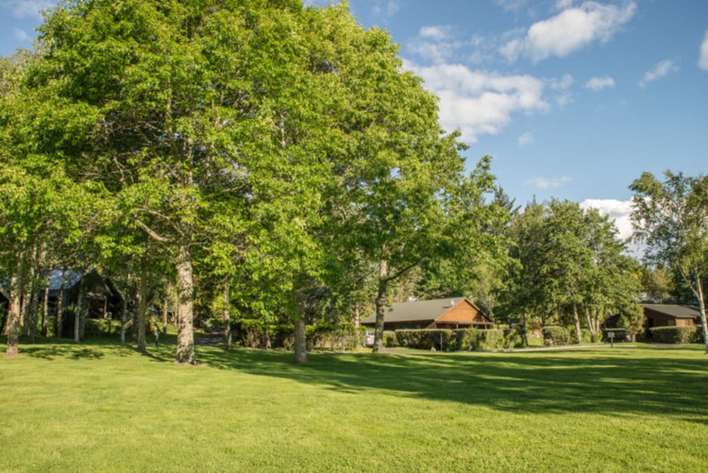 Фото Tongariro Lodge