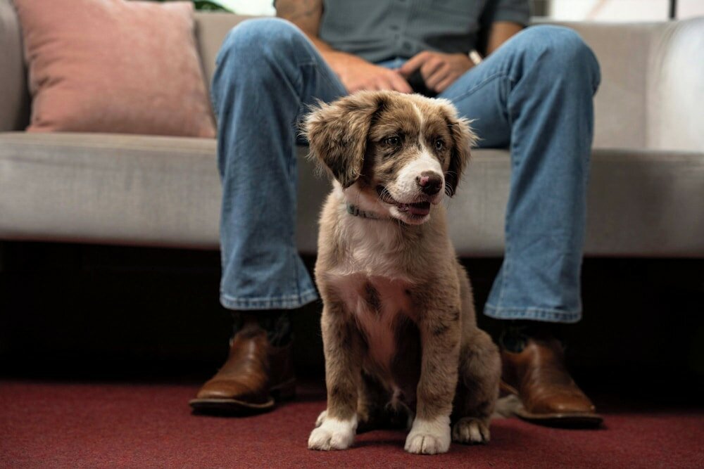 Фото Sheraton Austin Hotel at the Capitol