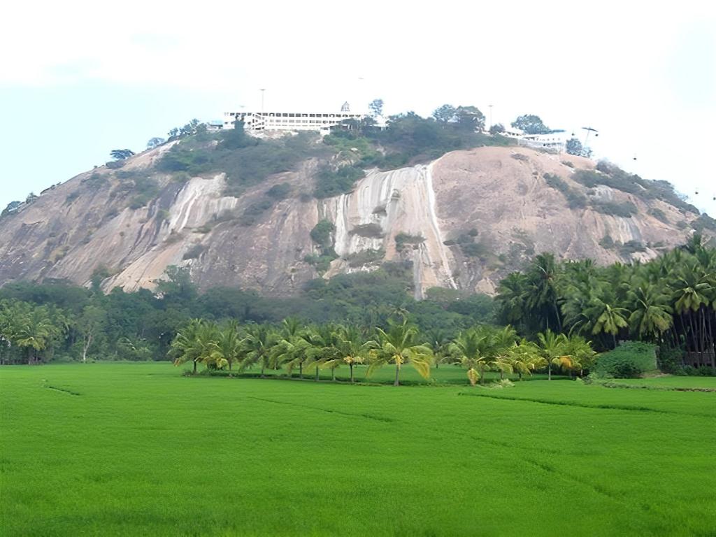 Фото Hotel Subham