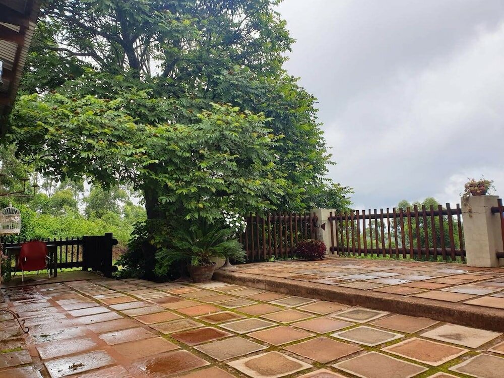 Фото Misty Mountains