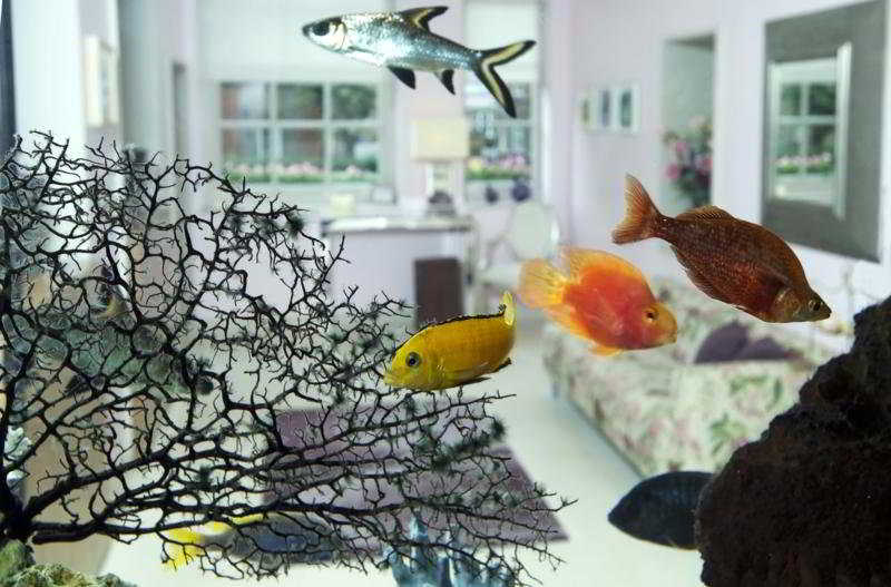 Фото Sonder Chelsea Green