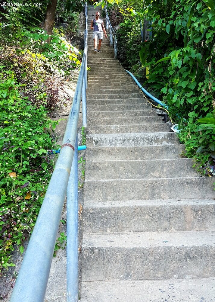 Фото Phi Phi Arboreal Resort