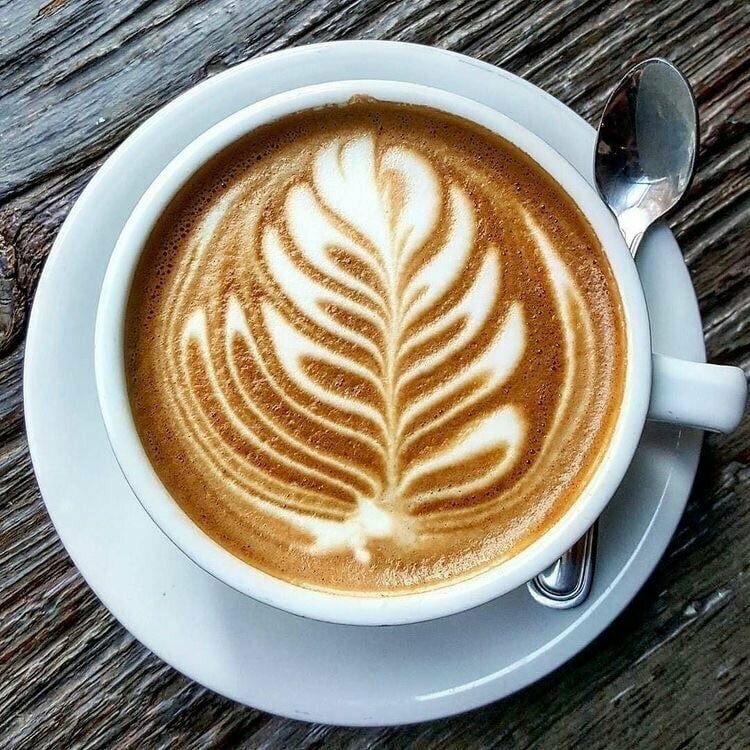 Coffee shop Mox, Anapa, photo