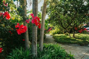 Гостиница Beach Garden Hotel