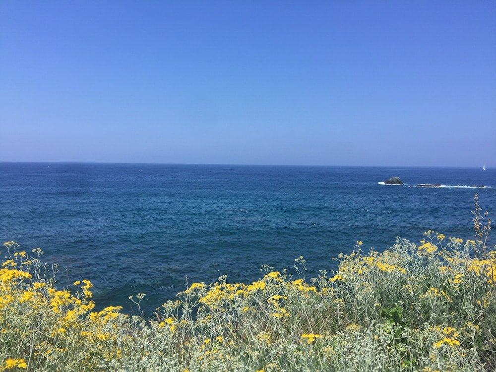 Фото Harbour View