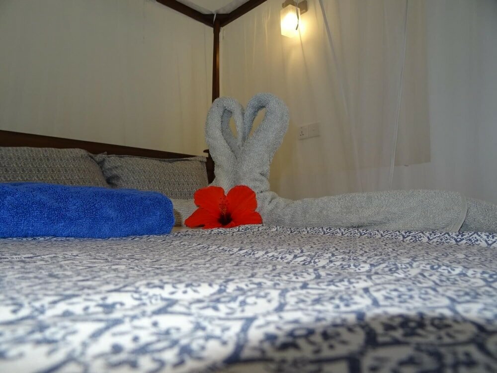 Фото Thambili cabanas