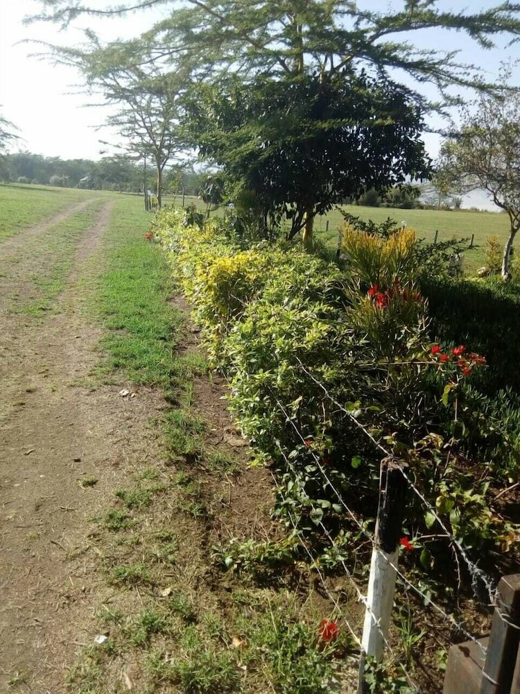 Фото Duara Flamingo Camp