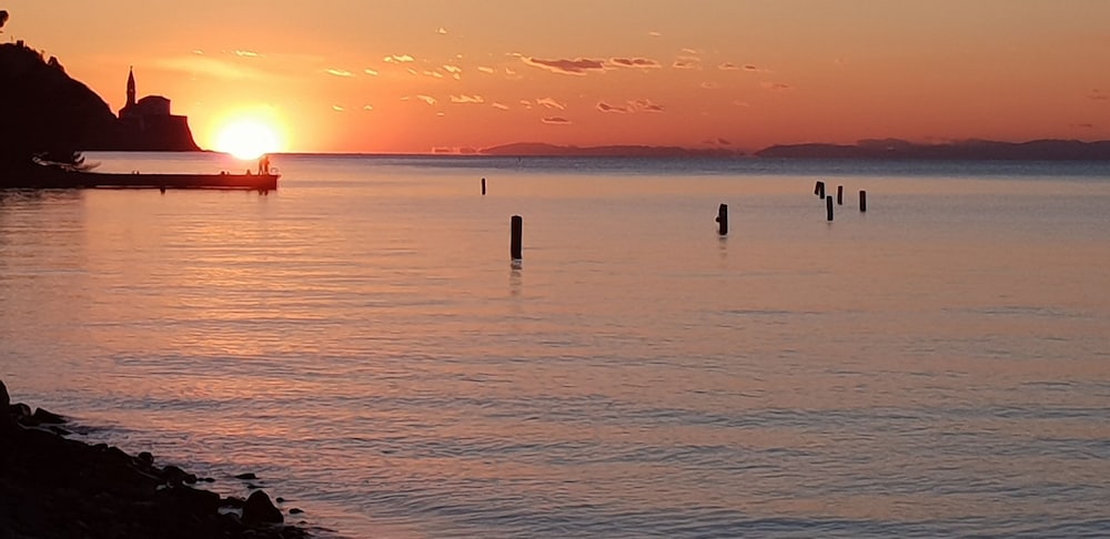 Фото Hotel Oleander