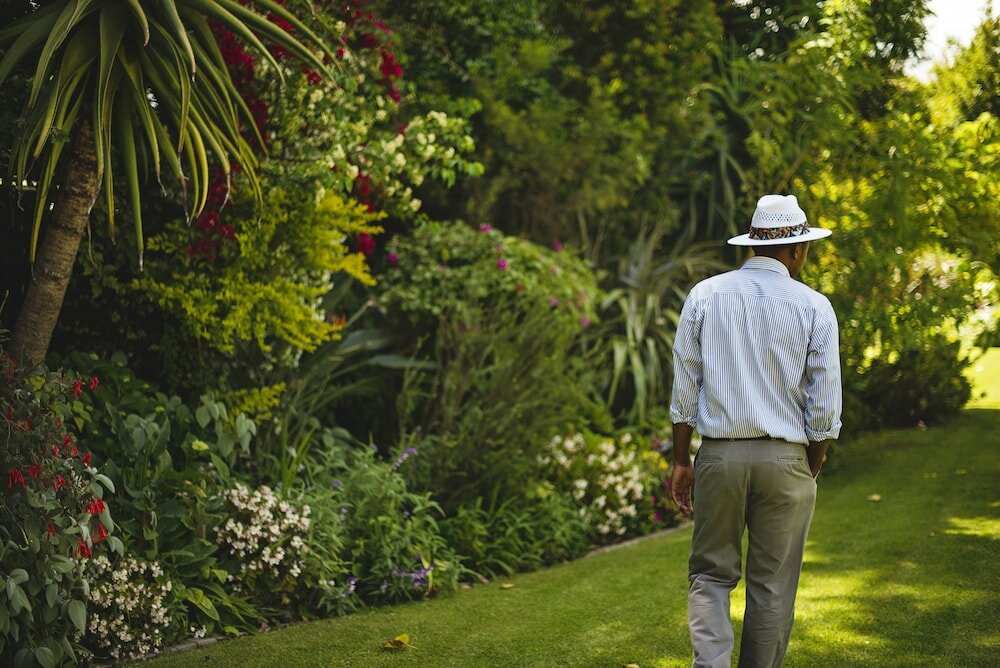 Фото The Last Word Constantia