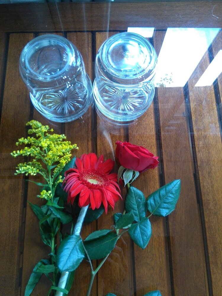 Фото Green Coco Homestay Hoi An