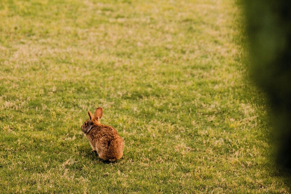 Фото Blockade Runner Beach Resort