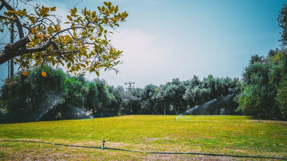 Фото Chrysland Hotel