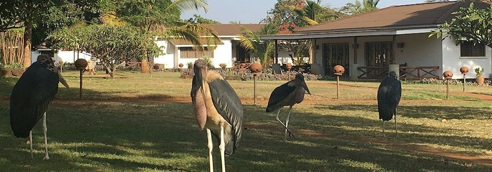 Фото Ameg Lodge Kilimanjaro