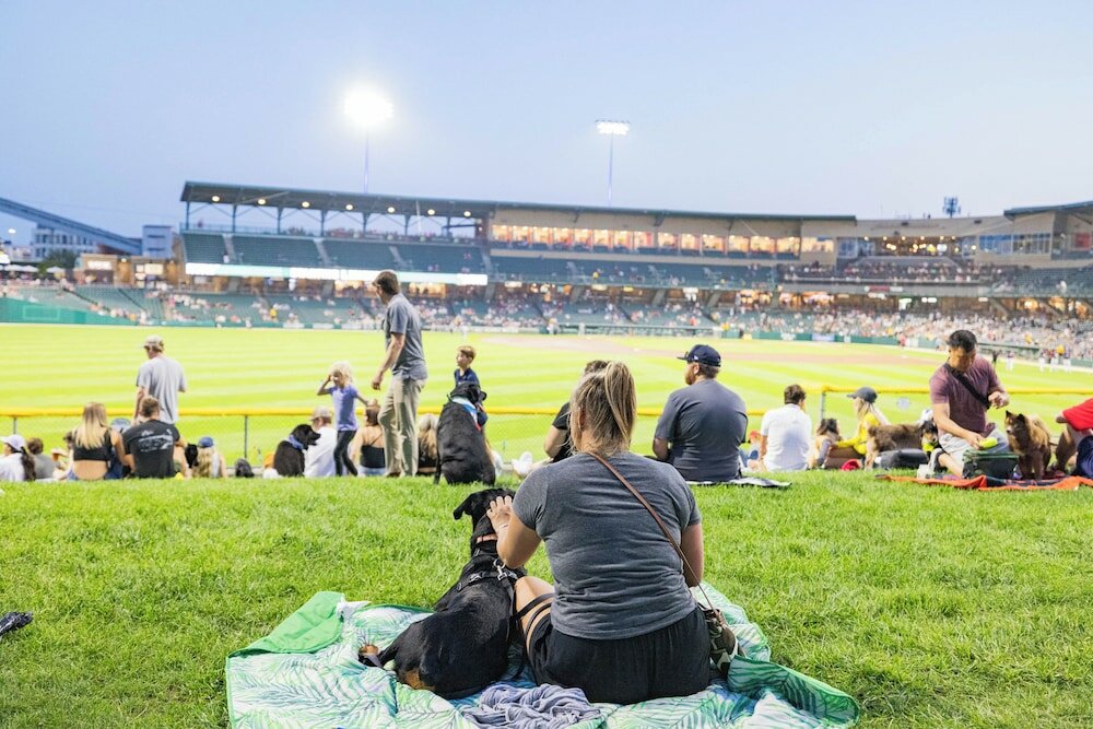 Фото Fairfield Inn & Suites by Marriott Indianapolis Downtown