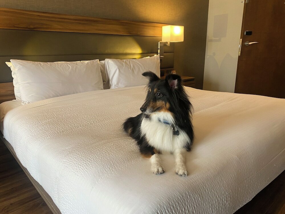 Фото Ac Hotel by Marriott Santa Fe