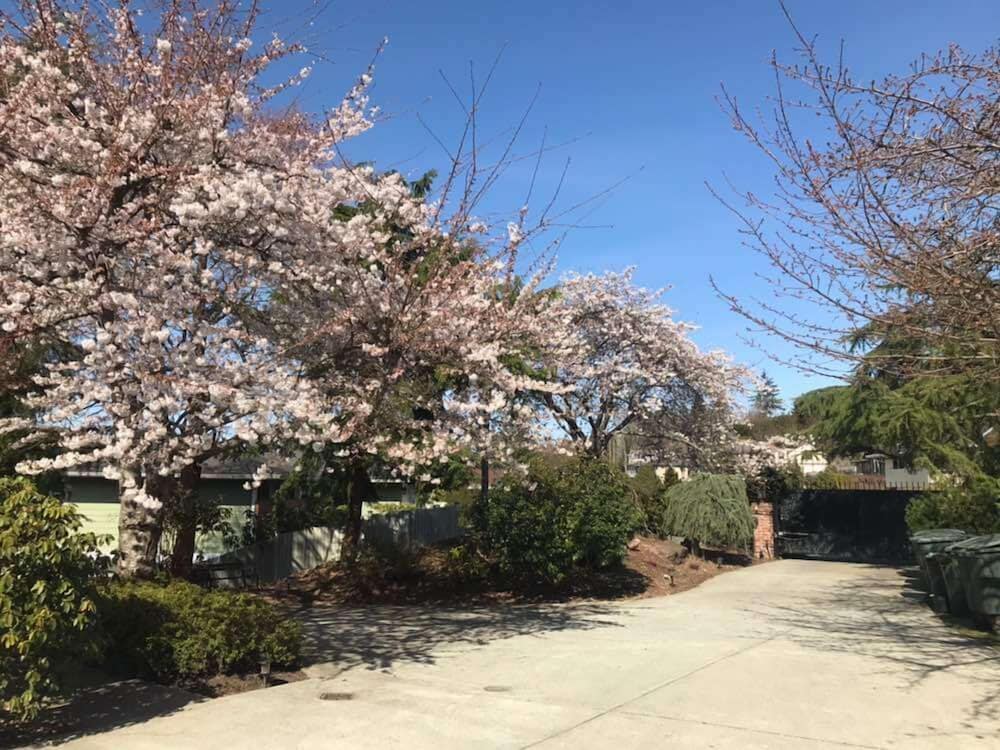 Фото Villa Rivarola