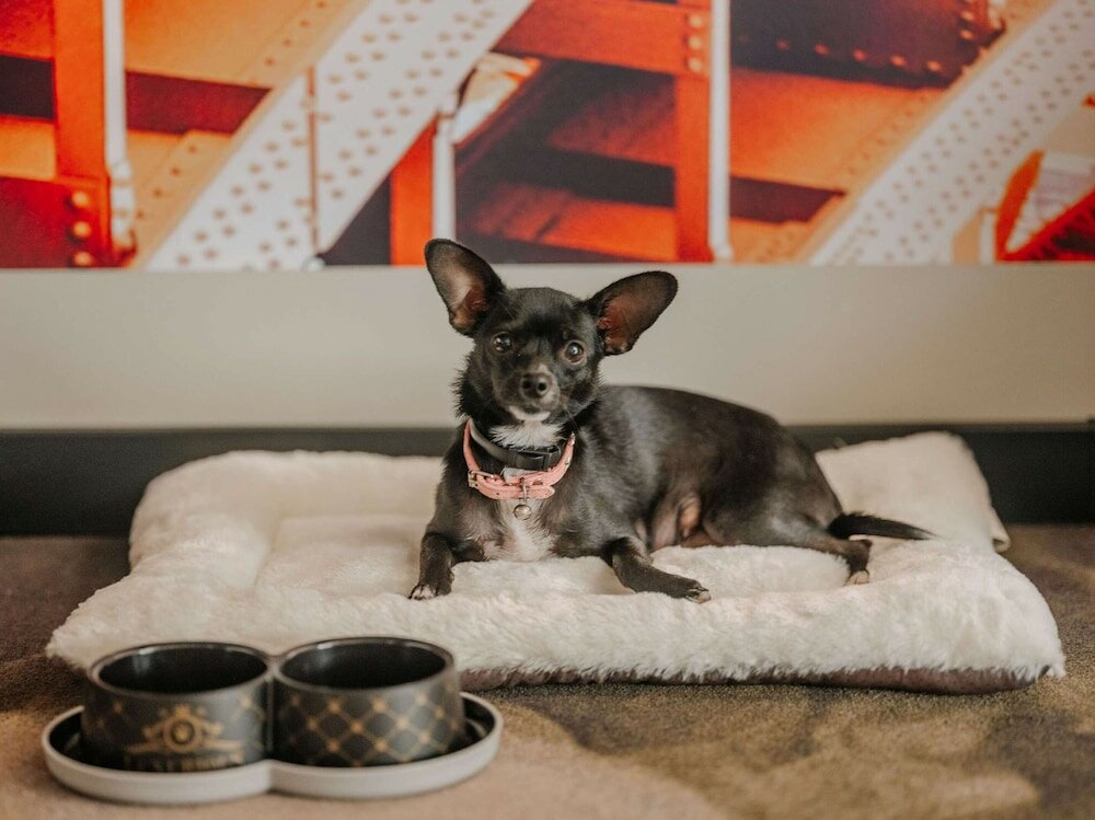 Фото Novotel Paris Val de Fontenay