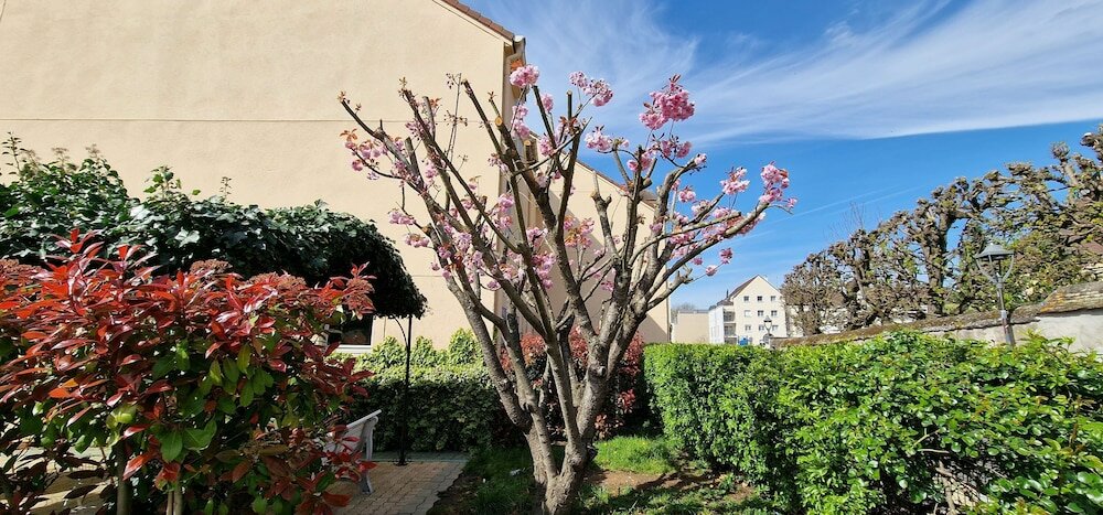 Фото Kyriad Direct Arpajon