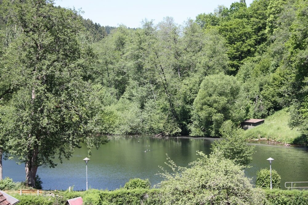 Фото Hotel Rössle Berneck