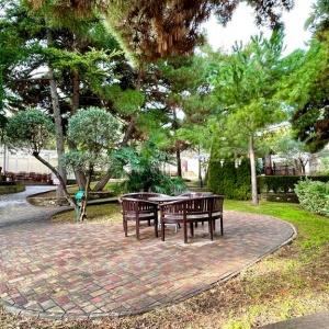 Фото Дача Штейнгольца