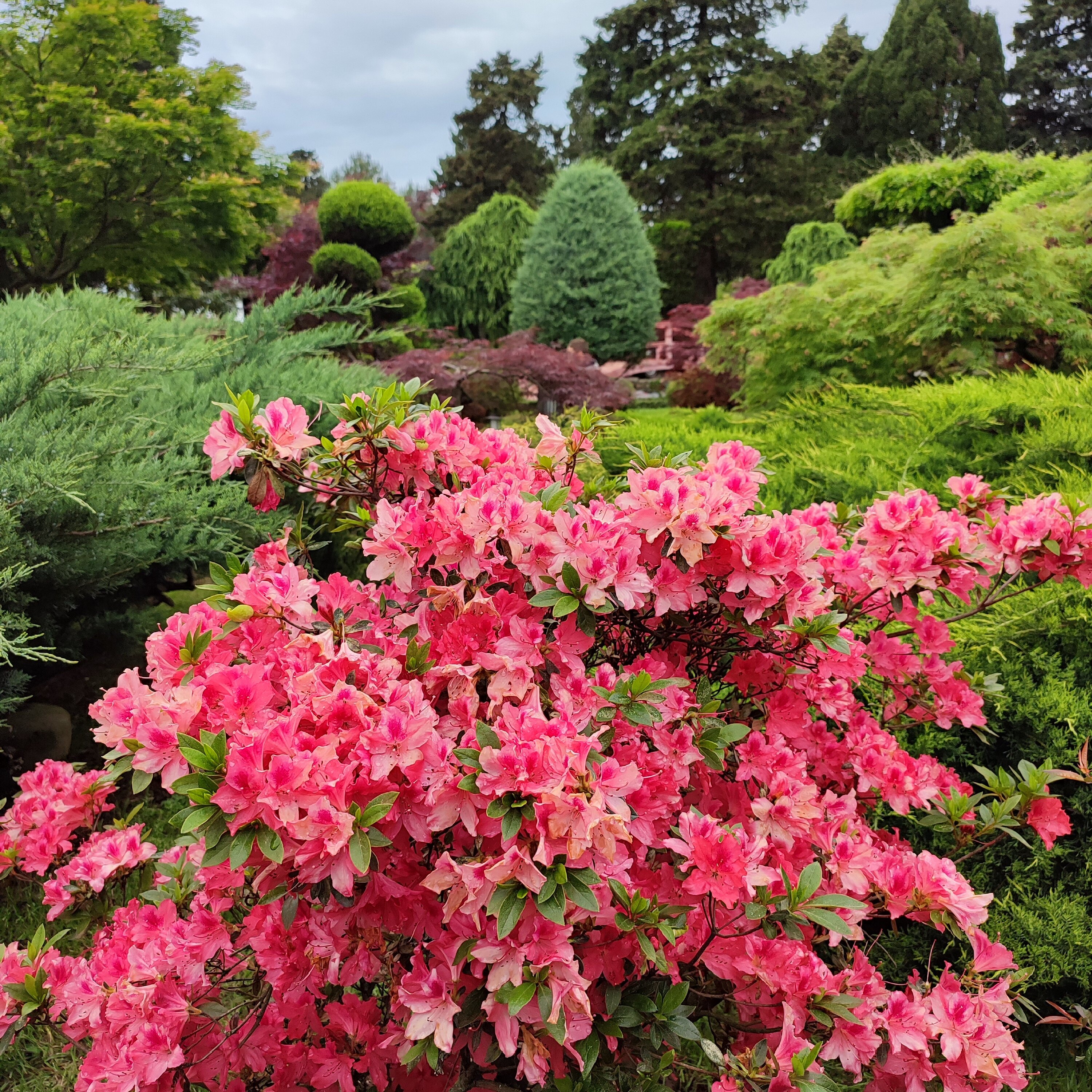 Фото Батумский бульвар