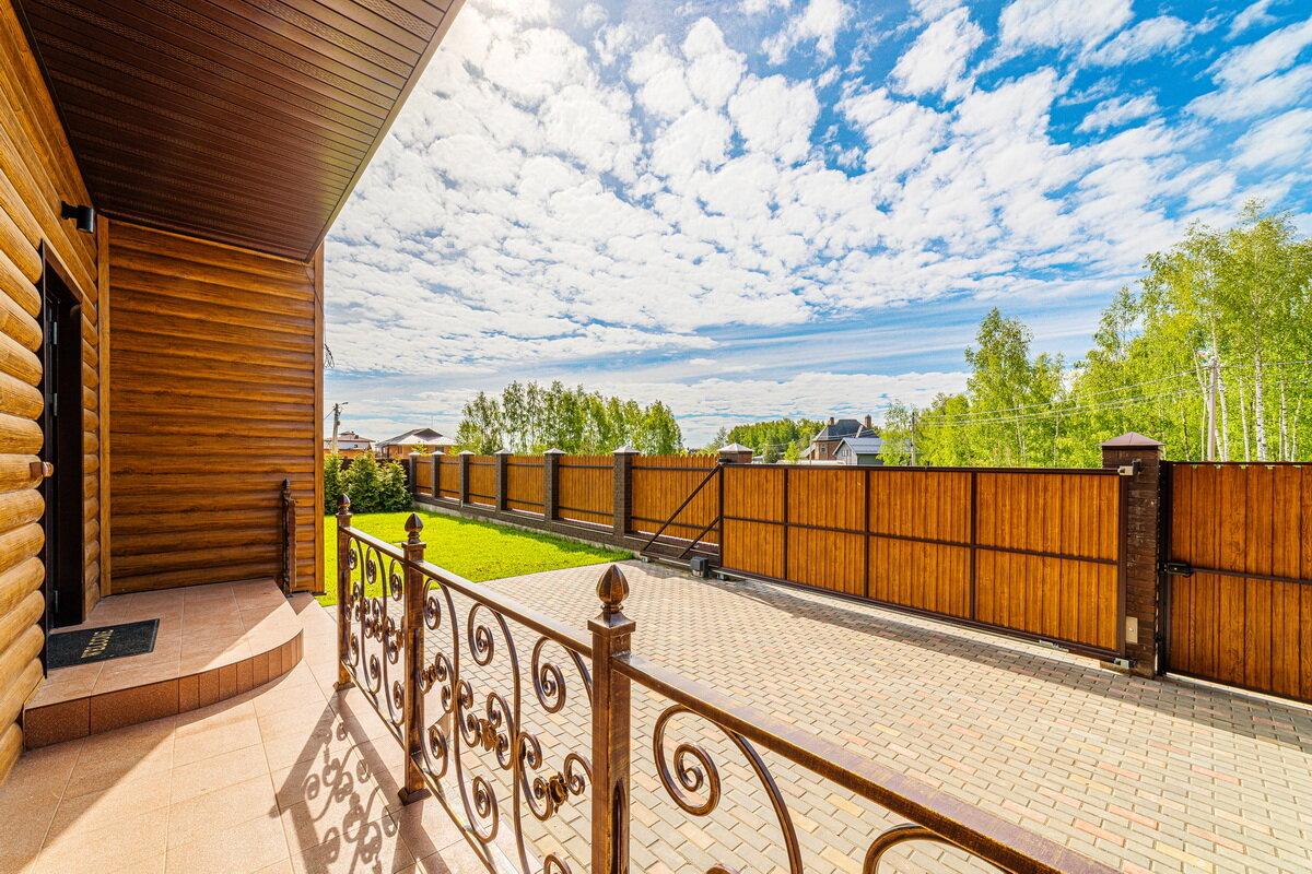 Фото Дельфин