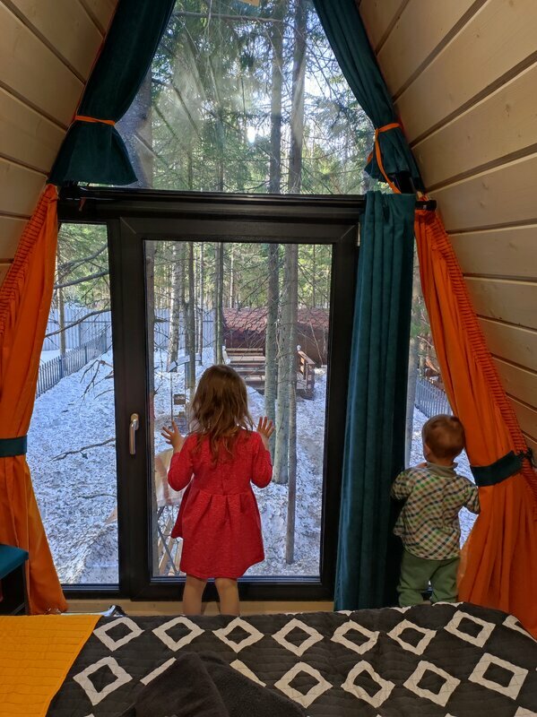 Фото Elki в Новожилово