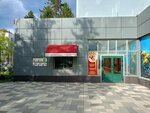 Magnit (Michurina Street, 15), grocery