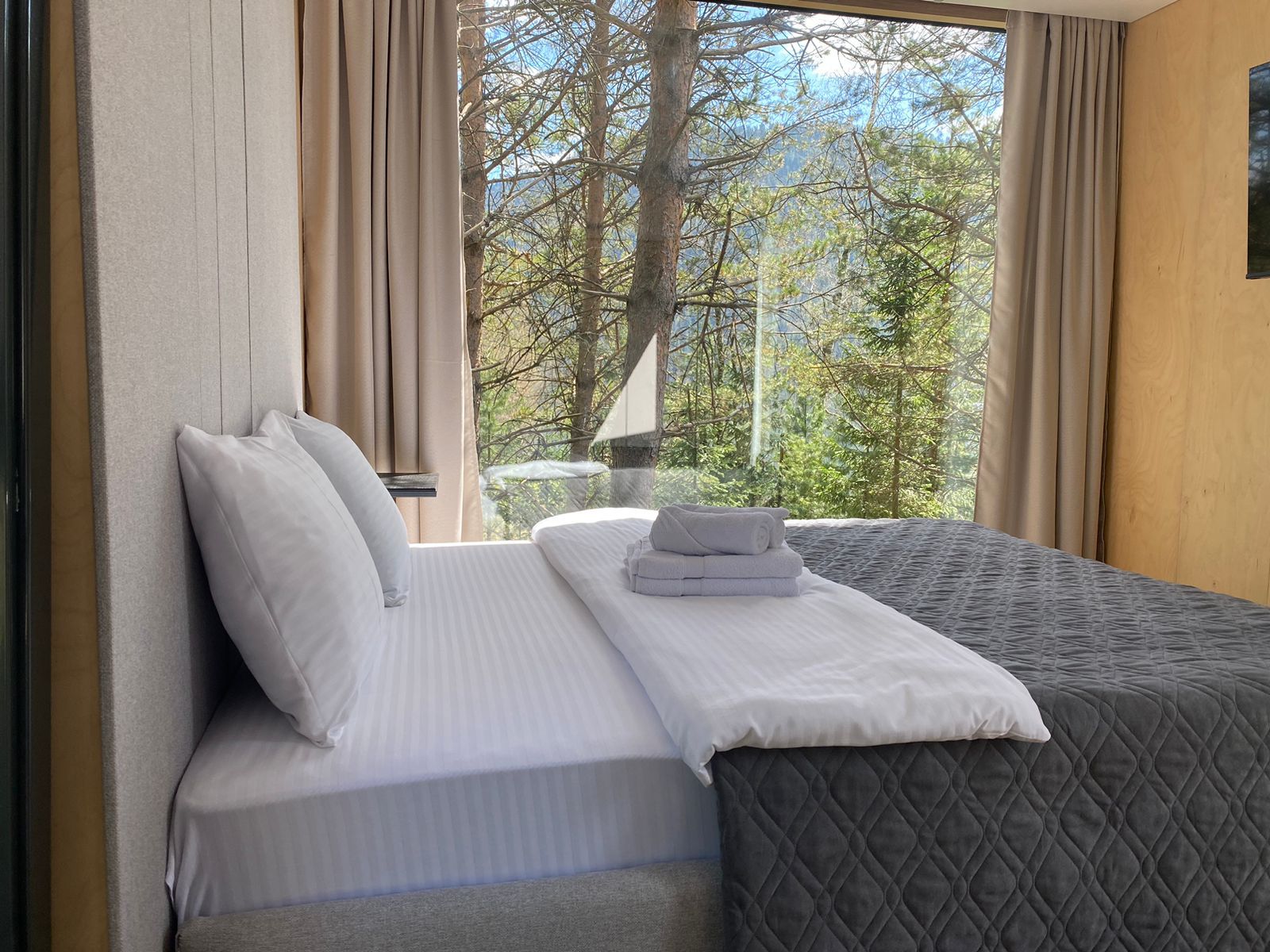 Фото Телецкое золотое