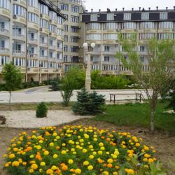 Фото Журавли