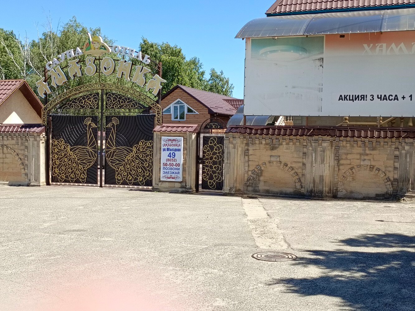 Фото Амазонка