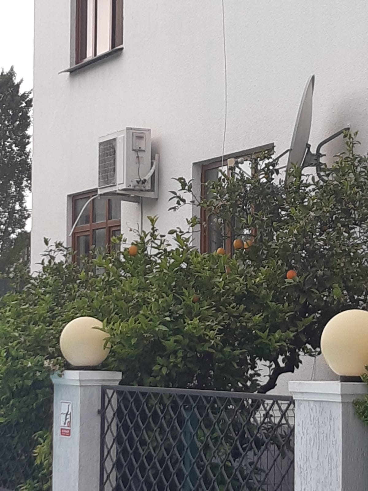 Фото Отель Гега