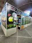 Zhivaya planeta (Ippodromnaya ulitsa, 27А), aquariums