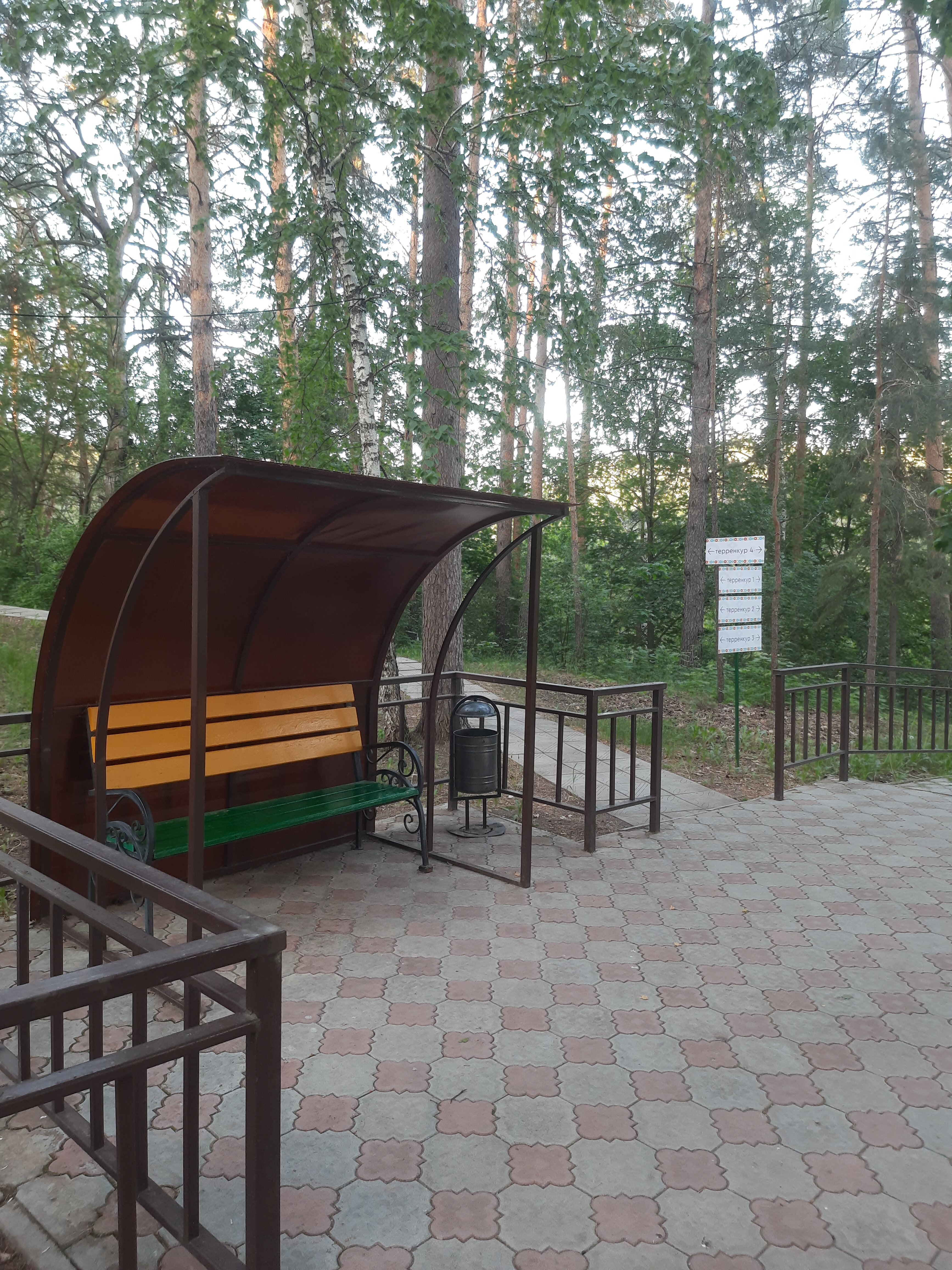 Фото Ромашкино