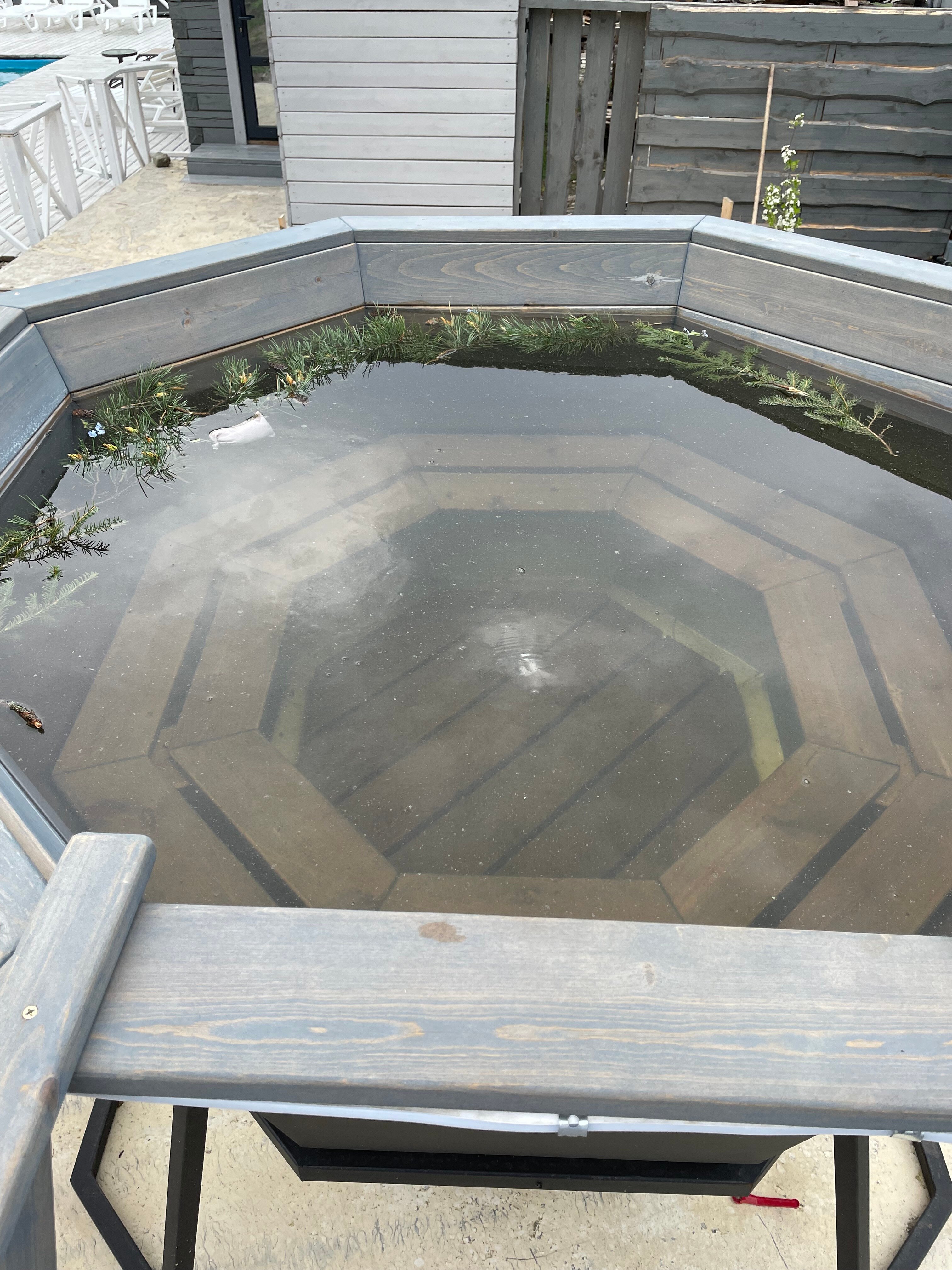 Фото Алтай Лотос