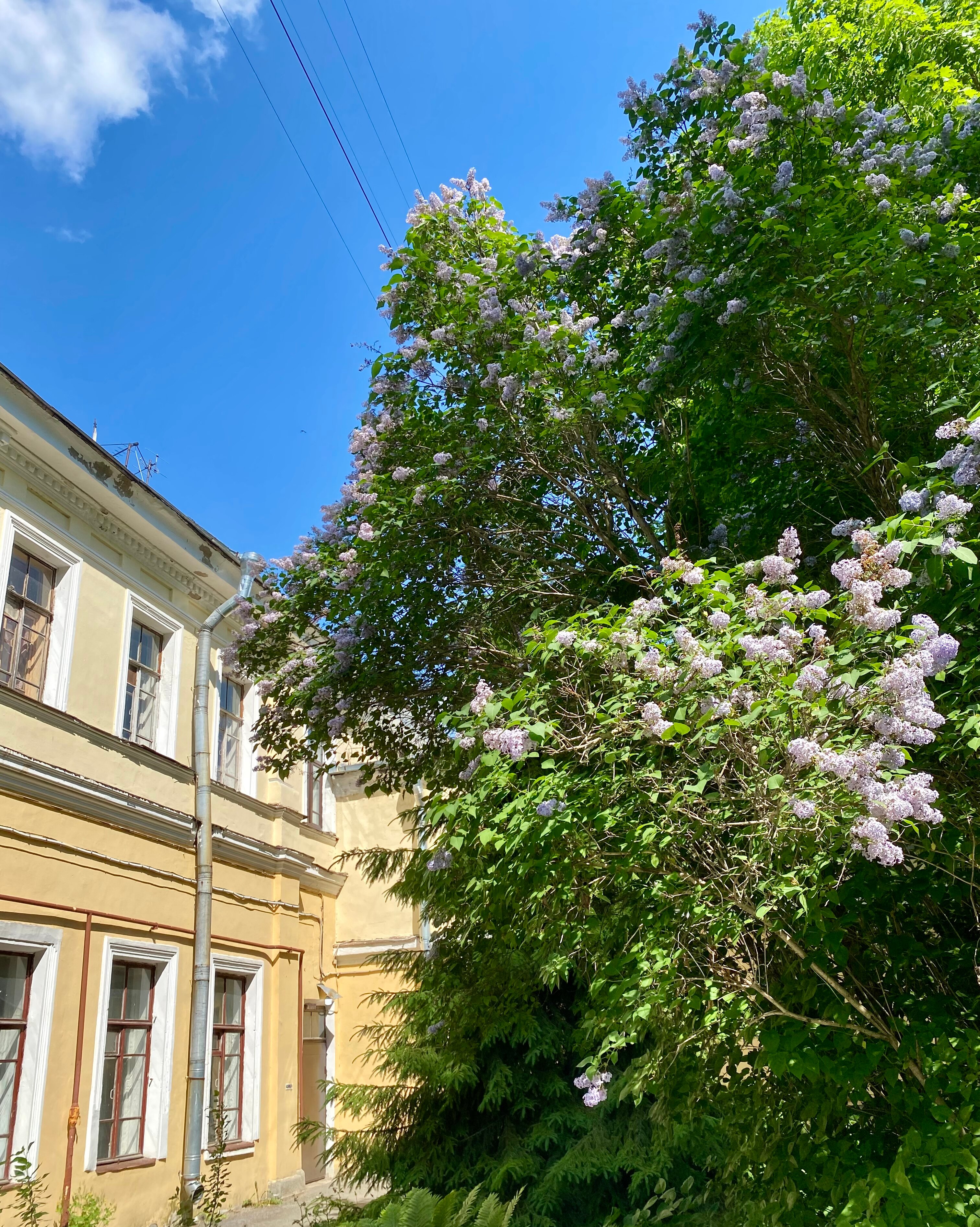 Фото Пушкинская Усадьба