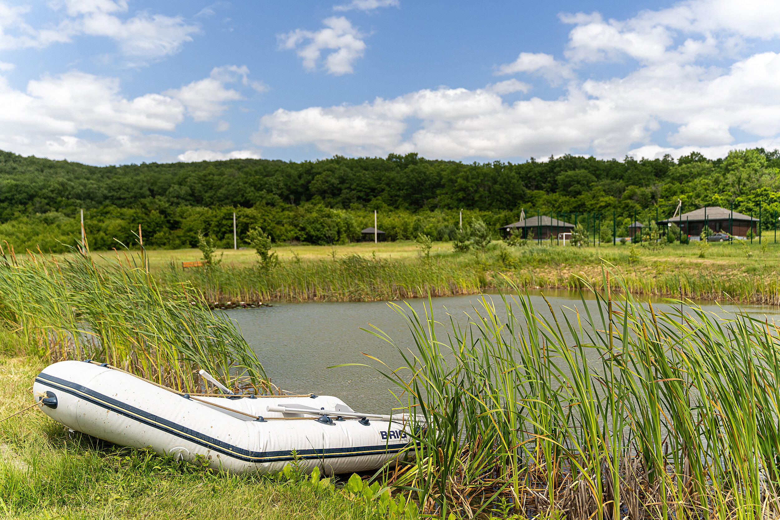 Фото Дубровский